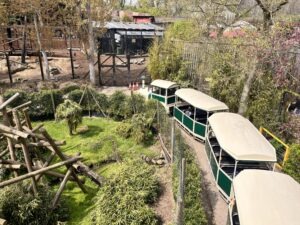 Colchester Zoo Review ()