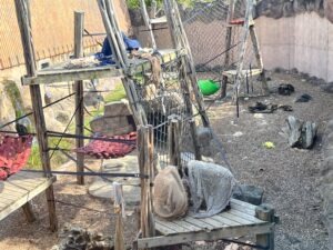 Colchester Zoo Review ()