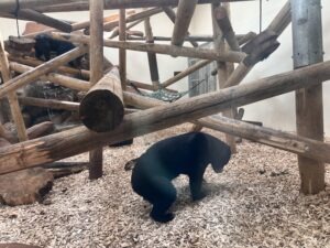 Colchester Zoo Review ()