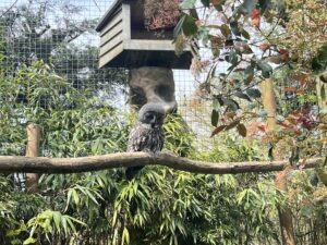 Colchester Zoo Review ()