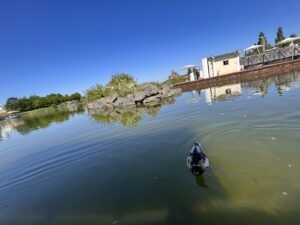 Belantis Theme Park Review ()