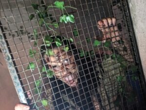 Doncaster Fear Factory ()