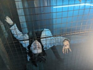 Doncaster Fear Factory ()