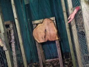 FEAR at Avon Valley Scream Park Review ()