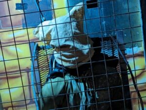 Fear Island at Fantasy Island Review ()