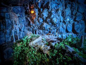 Fear Island at Fantasy Island Review ()