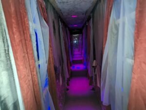 Screamfest Burton Review ()