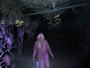 Screamfest Burton Review ()