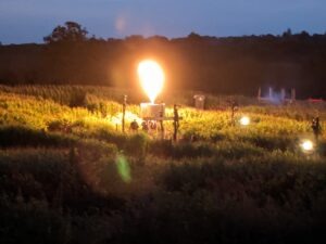 Screamfest Burton Review ()