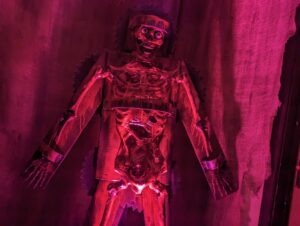 Terror Island Review ()
