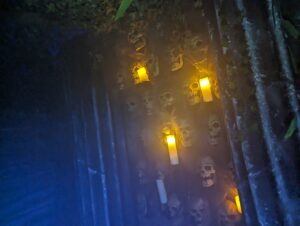 Terror Island Review ()