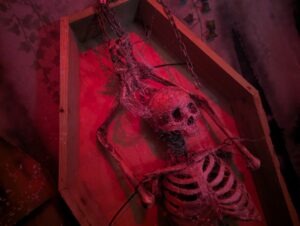 Terror Island Review ()