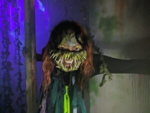 Terror Island Review ()