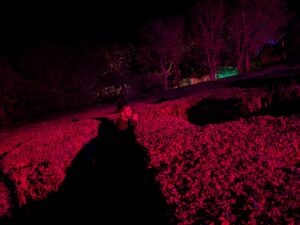 Terror Island Review ()