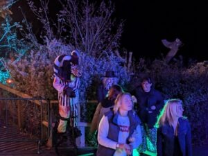 Terror Island Review ()
