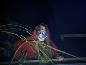 The Howl Review ()
