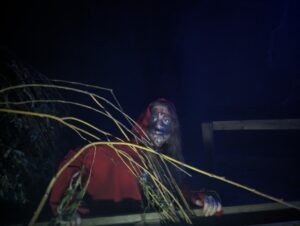 The Howl Review ()