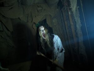 The Howl Review ()
