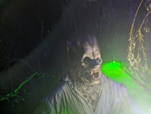 The Howl Review ()