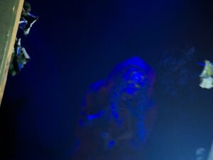 The Howl Review ()