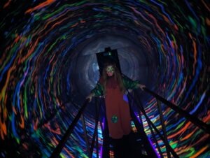 The Howl Review ()