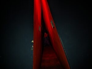 The Howl Review ()