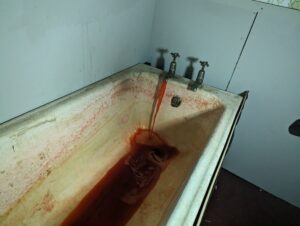 The Howl Review ()