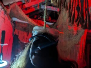 The Howl Review ()