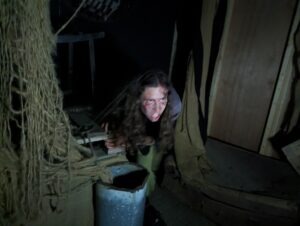 The Howl Review ()