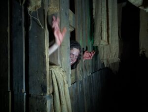The Howl Review ()