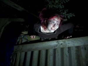 The Howl Review ()