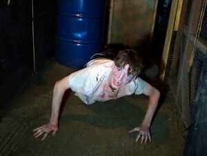 The Howl Review ()