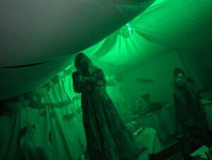 The Howl Review ()
