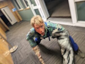 The Howl Review ()