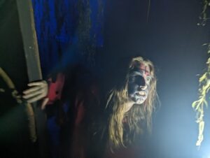 The Howl Review ()
