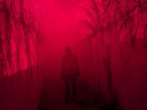 Thorpe Park Fright Nights Review ()