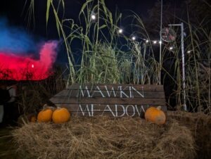 Thorpe Park Fright Nights Review ()