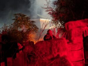 Thorpe Park Fright Nights Review ()