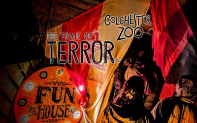 Trail of Terror at Colchester Zoo 2023 Review