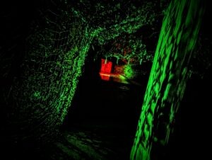 Trail of Terror at Colchester Zoo Review ()
