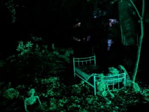Trail of Terror at Colchester Zoo Review ()