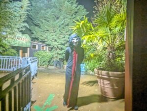 Trail of Terror at Colchester Zoo Review ()