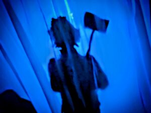 Trail of Terror at Colchester Zoo Review ()