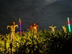 Tulleys Shocktoberfest Review ()