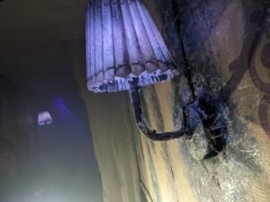 Walsall Scare Maze Review ()