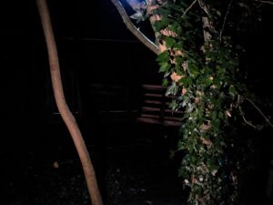 Kent ScareGround Review ()
