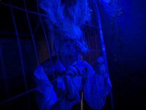 Kent ScareGround Review ()
