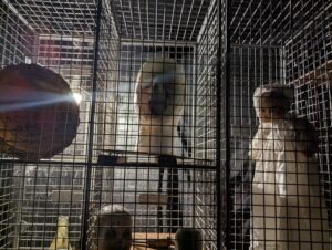 Kent ScareGround Review ()