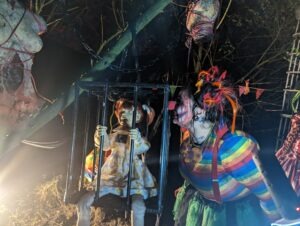 Twisted Pumpkins Review ()