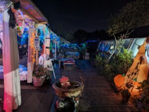 Twisted Pumpkins Review ()